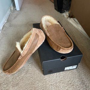 UGG Slippers (Ascot Leather Slippers)